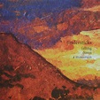 Tindersticks - Falling Down A Mountain (2010, Vinyl) | Discogs
