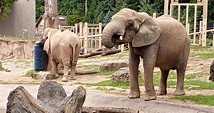 Seneca Park Zoo - Go Wandering