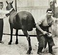 NYSocBoy's Beefcake and Bonding: Les Darcy, the Australian Boxer and ...