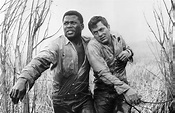 Defiant Ones, The (1958) - I Don't Go South - Turner Classic Movies