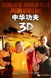 Secrets of Shaolin with Jason Scott Lee (Film, 2012) — CinéSérie