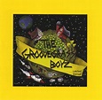 The GrooveGrass Boyz by The Groovegrass Boyz on Plixid