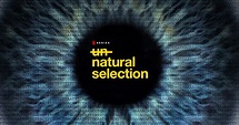 Netflix - Unnatural Selection