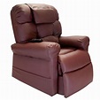 WiseLift 450 Sleeper, Lift Chair, Recliner- Burgundy Enduralux Leather ...