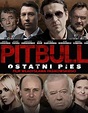 Plejada Gwiazd na nowych zdjęciach z filmu "PITBULL OSTATNI PIES"