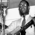 ELMORE JAMES discography (top albums) and reviews