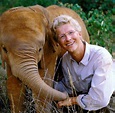 Naturschutz: Ohne die Grzimeks wäre die Serengeti gestorben - WELT