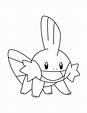 Imagenes De Pokemones Para Dibujar 43 Best Pokemon Drawings Dibujos Images