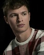 Lista 92+ Foto Películas Y Programas De Tv De Ansel Elgort Actualizar