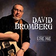 Good New Music » Blog Archive » David Bromberg