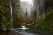 Imágene Experience: Cascada de agua cristalina en el bosque - Amazing ...