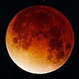 Lista 98+ Foto Imágenes Del Eclipse Lunar De Hoy Mirada Tensa