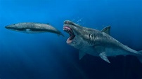 The Megalodon Was Bigger, Faster and Even Hungrier - The New York Times