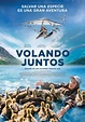 Volando juntos - Película 2019 - SensaCine.com