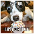 Funny Happy Birthday Images For Friend | The Cake Boutique