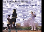 The Brand New Heavies - Dream On Dreamer (Dallas Austin Remix) HQ AUDIO ...
