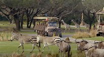 Official Trailer For "Magic of Disney’s Animal Kingdom" coming to ...