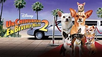 Un Chihuahua en Beverly Hills 2 | Apple TV