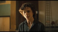 ‘Beautiful Boy’ Review: Timothee Chalamet and Steve Carell Drug Drama ...