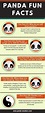 Giant Panda Fun Facts | Infographic Portal