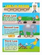 Newton's Laws New Classroom Physics Science Poster ...