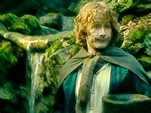 Pippin Took, The Lord of the Rings