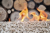 What is Biomass Energy? - Big Green Switch
