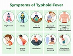 Understanding Typhoid Fever: Causes, Symptoms, Prevention, and Treatment