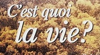 C'est quoi la vie ? (1999), un film de François Dupeyron | Premiere.fr ...