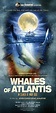 Whales of Atlantis - In Search of Moby Dick | Jules Verne Adventures