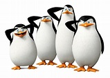 Top 100 + Imagenes de los pinguinos de madagascar - Theplanetcomics.mx