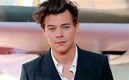 Harry Styles, cantante, compositor y actor británico - Grupo Milenio