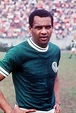 Relembre: 5 grandes jogos de Luís Pereira pelo Palmeiras - Gazeta Esportiva