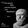 Top fotografias hoje | Platão frases, Citações e pensamentos, Frases ...