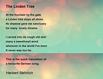 The Linden Tree - The Linden Tree Poem by Herbert Nehrlich