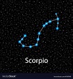 Scorpio zodiac sign bright stars Royalty Free Vector Image