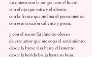 10 Poemas de Romanticismo Cortos que Derretirán tu Corazón - TMagazine ...