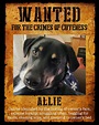 Pet Wanted Poster Digital Image Best Seller Pet Poster - Etsy