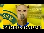 CAMELLONALDO🐫 - YouTube