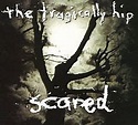 Scared (The Tragically Hip song) - Wikipedia