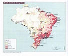 Geografia Geral: Mapas da Ocupação do Brasil