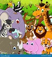 Desenhos Animados Animais Dos Animais Selvagens Com Fundo Tropical Da ...