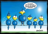 Hilarious Batty Birds Cartoon