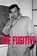 El fugitivo (serie 1963) - Tráiler. resumen, reparto y dónde ver ...