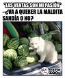 La colección de memes de ventas que querrás compartir cuanto antes