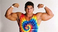Don Muraco launches “Don Muraco’s Magnificent Podcast” - Wrestling News ...