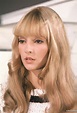 45 Glamorous Photos of Sylvie Vartan in the 1960s | Vintage News Daily