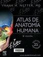 Atlas de anatomía humana / Frank H. Netter. Barcelona : Elsevier Masson ...