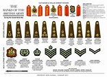 Visual : Quick guide to British Army ranks - Infographic.tv - Number ...