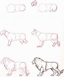 How To Draw Step By Step Animals